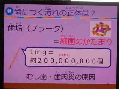 3_file6aa34c0233a3f_400p